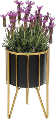 Cassa fiori moderna con vaso metallico nero dorato 31,5 cm - supporto fiori e supporto piante