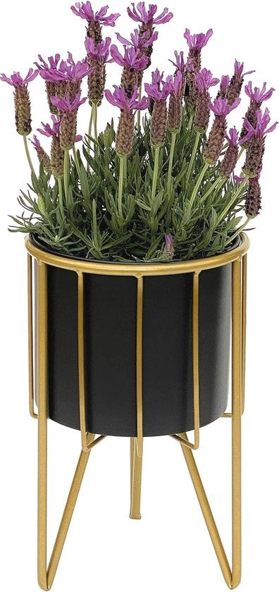 Cassa fiori moderna con vaso metallico nero dorato 31,5 cm - supporto fiori e supporto piante