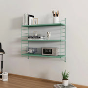 Scaffale da Parete Strängnäs a 3 Ripiani Regolabili 50 x 60 x 15 cm Acciaio Verde Pastello [en.casa]