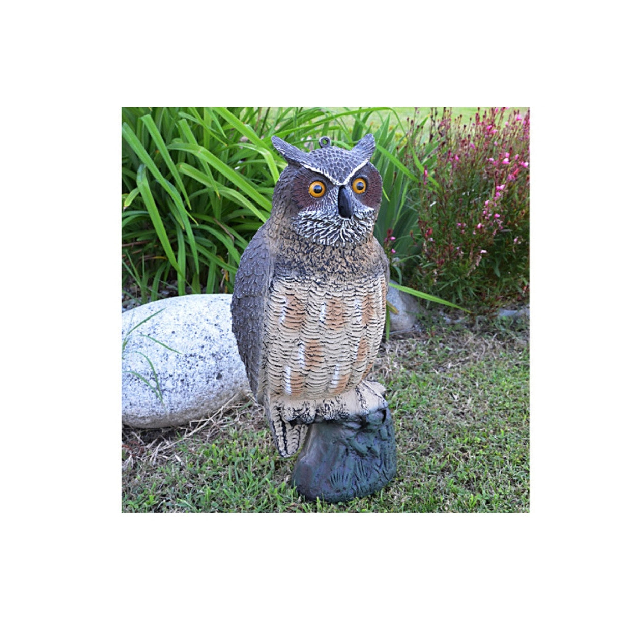 Decorazioni animali gufo americano