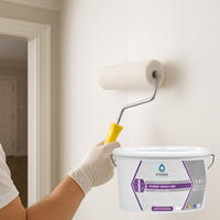 Farbe wash 500 idropittura acrilica lavabile coprente rapida essiccazione *** formato 5 lt, confezione 1