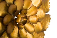 Pannello In Ferro Fiore Goldy -A- Cm Ø 64X5.5