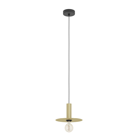 Lampadario A Sospensione Moderno Escandell Acciaio Nero Ottone 1 Luce E27