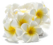 Catena di luci per esterni e interni con fiori di frangipani - LED - acqua resistente - adatto per matrimoni e feste - decorazione per camera da letto e balcone