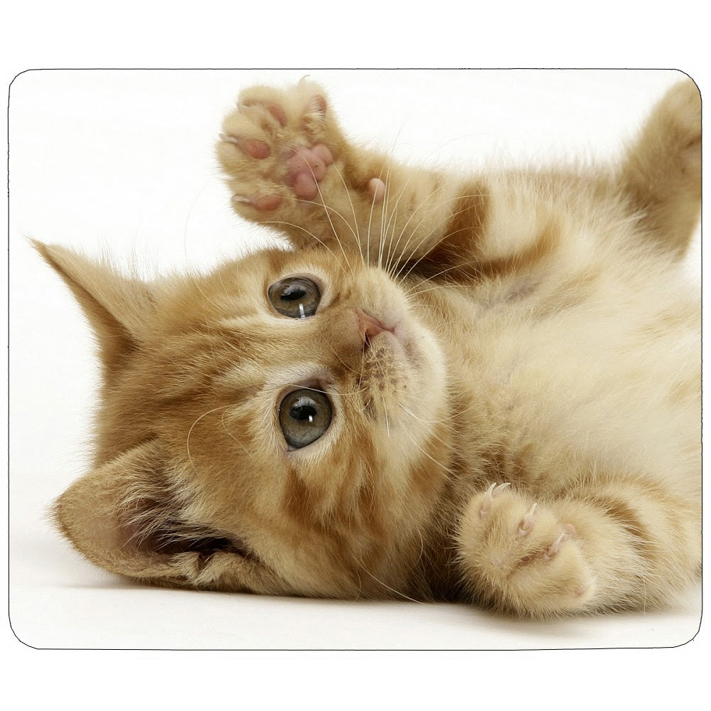 Confezione 10 tappetini mouse sublimabili PixMax personalizzabili in tessuto