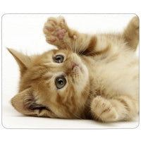 Confezione 10 tappetini mouse sublimabili PixMax personalizzabili in tessuto