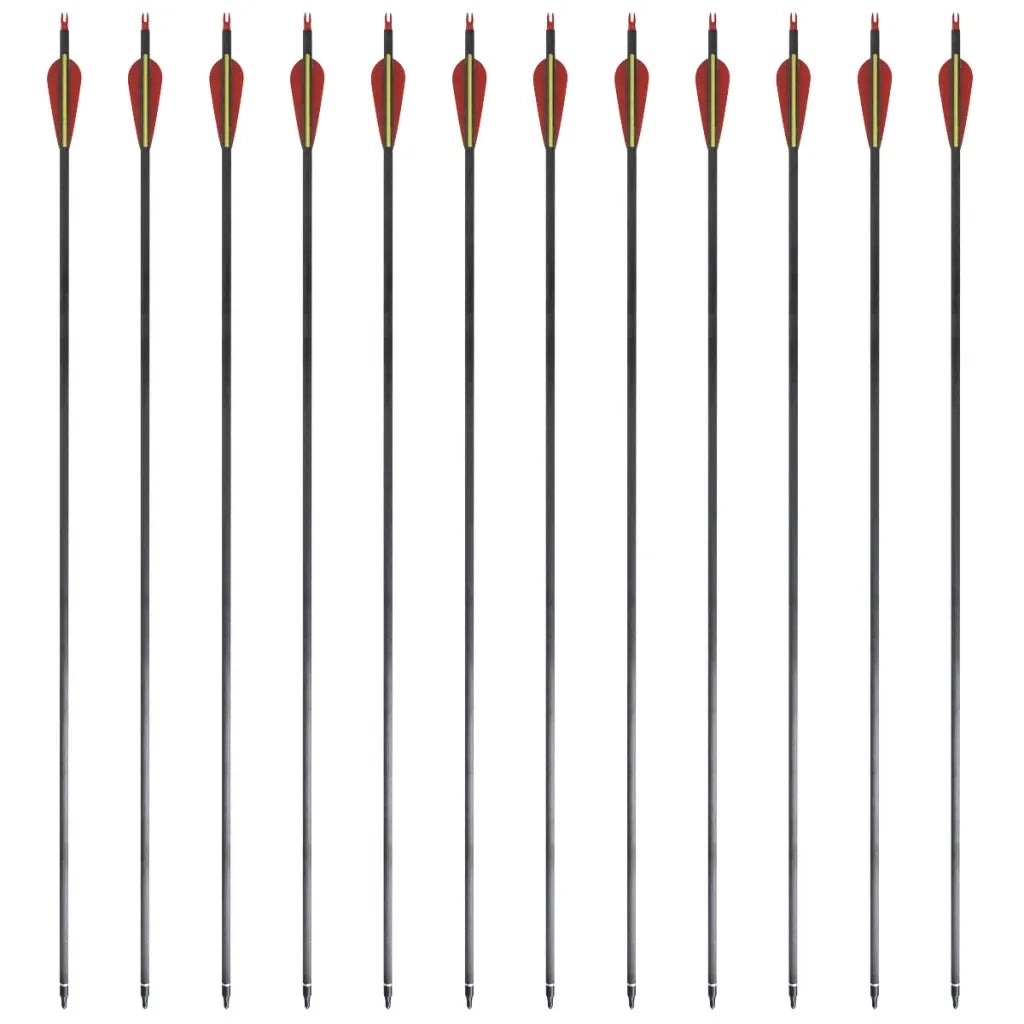 Frecce Standard 12 pz per Arco Ricurvo 30" 0,76 cm in Carbonio