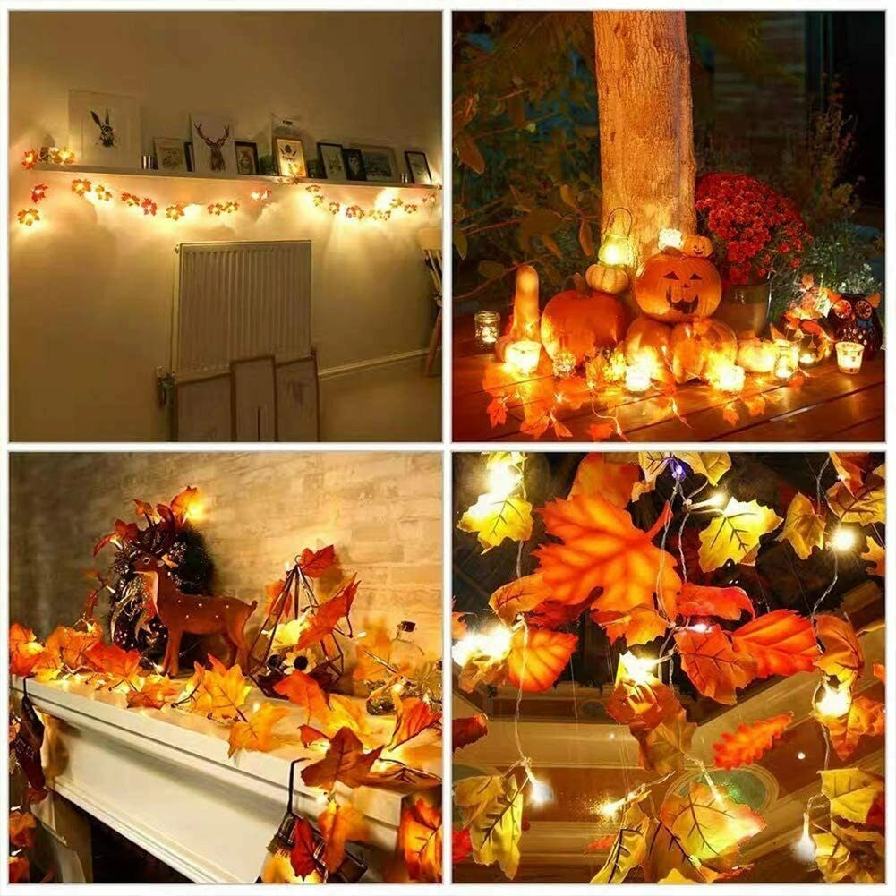 CATENA GHIRLANDA LUMINOSA 2 METRI 10 LED HALLOWEEN A BATTERIA AUTUNNO LUCI