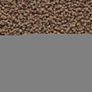 Hikari Tropical Micro Wafers - Alimento Completo Ideale per  Specie Vivipare Ciclidi e Pesce Gatto Formato: 45 gr