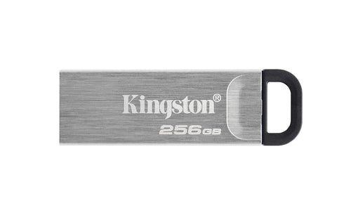 Kingston DTKN/256GB