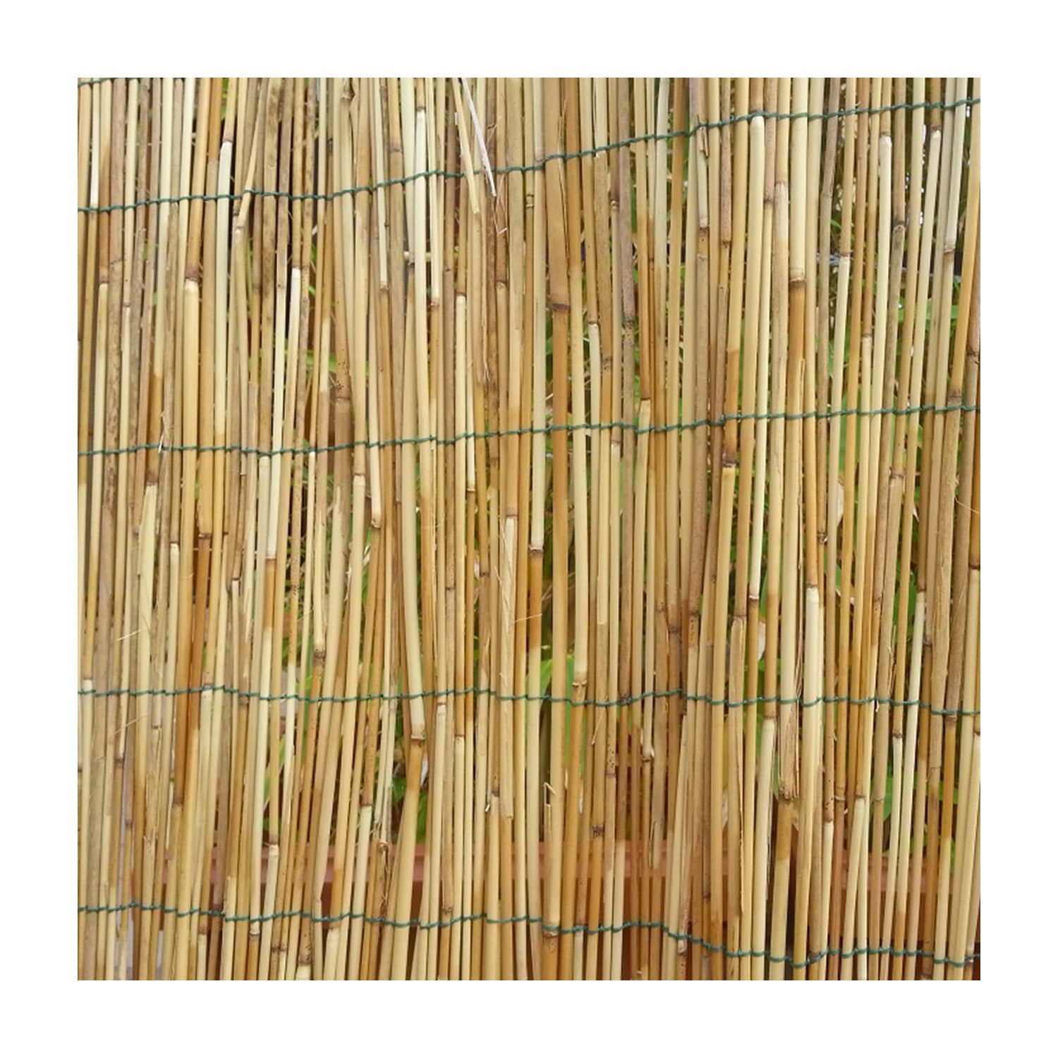 ARELLA BAMBU 200X300