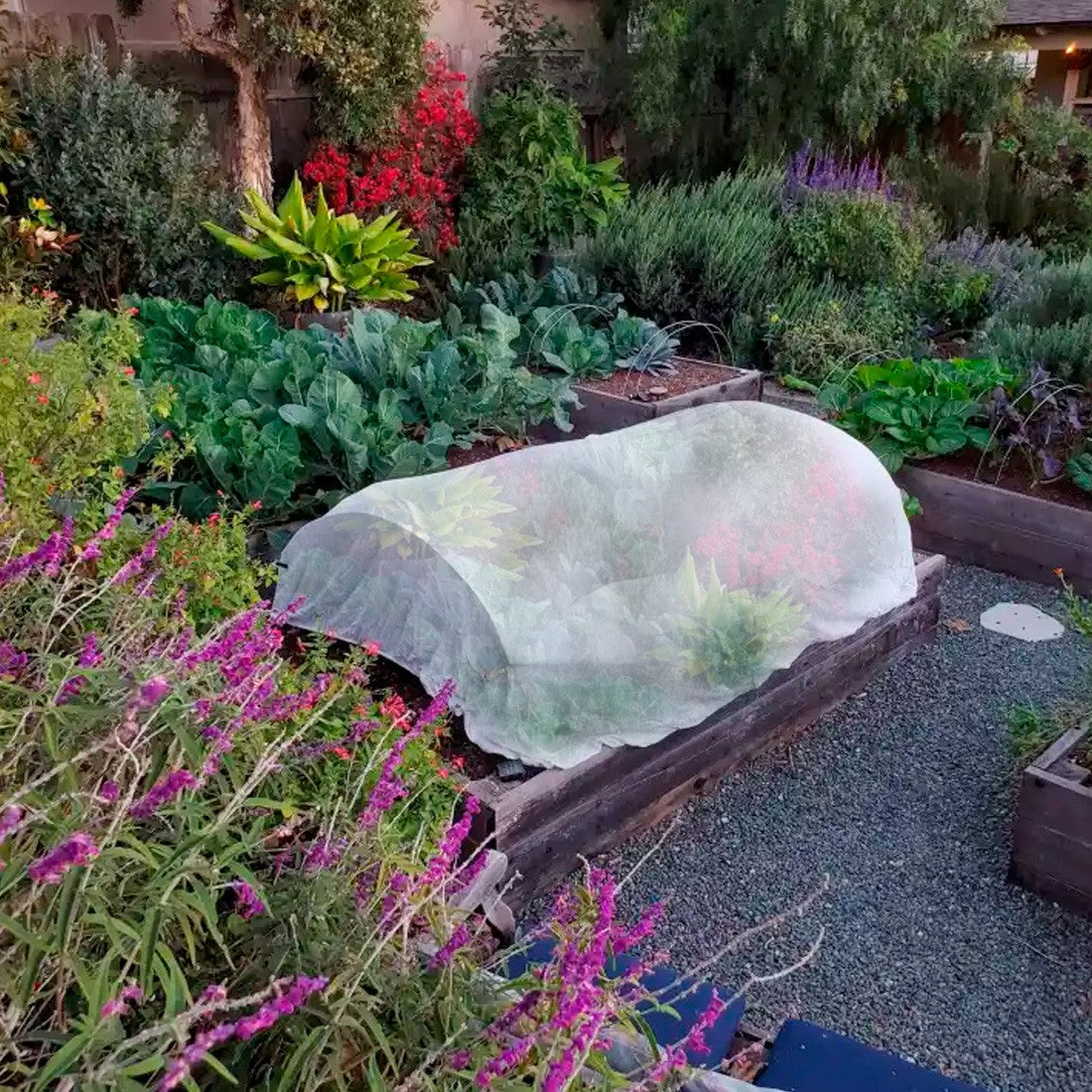 Telo Protezione Piante 15mt Copertura per Giardinaggio in Polipropilene