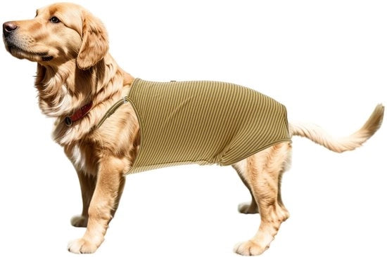 Luiers per cani - Suspenders adattabili - Disegno assorbente - Materiale cotone - Riciclabile - Comodo per animali domestici - Pantaloncini per cani