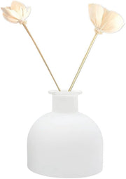 Diffusore per Aromaterapia in Vetro Leggero 100ml - Contenitore per Oli Essenziali - Geurhouder DIY - Vetro Sospeso e Elegantemente Progettato - Stabilità e Durata - Contenitore per Oli Essenziali