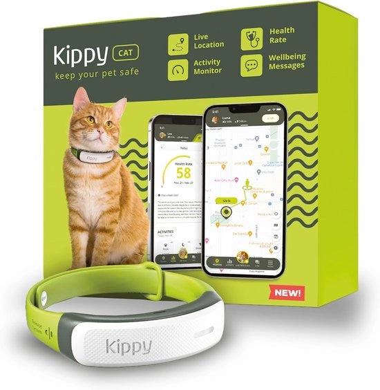 Cinturino GPS per gatti con monitoraggio delle attività e confini virtuali