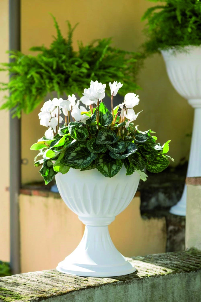 Bama VASO A CALICE ALBA Col. Bianco Ø cm. 43x46 h