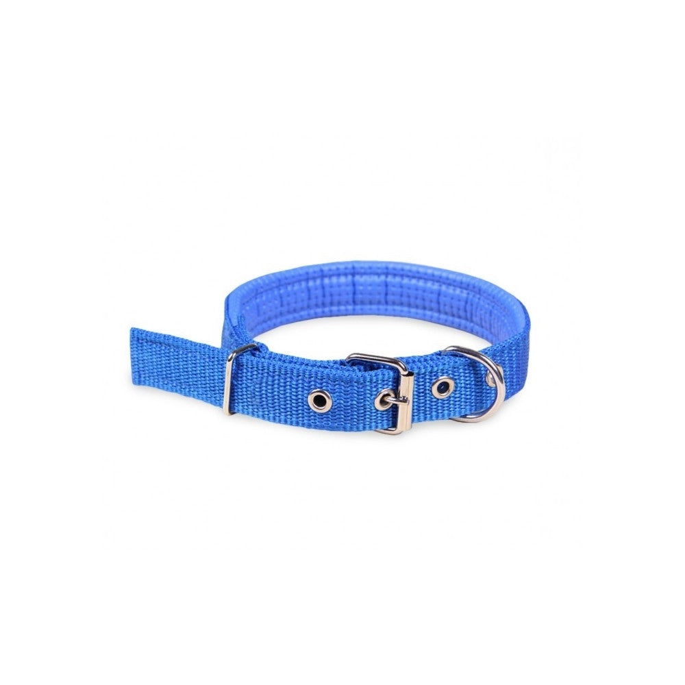 Trade Shop - Collare In Nylon Con Imbottitura Per Cani Piccola Tg. Chiusura Fibbia Regolabile -