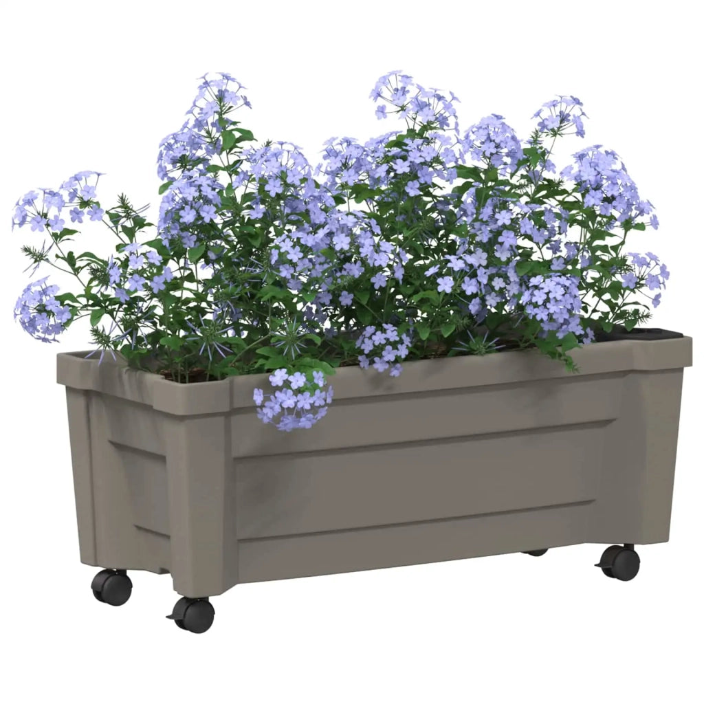 Vaso Calypso con Ruote Grigio 79 x 35 x 33 cm PP CFW6744295