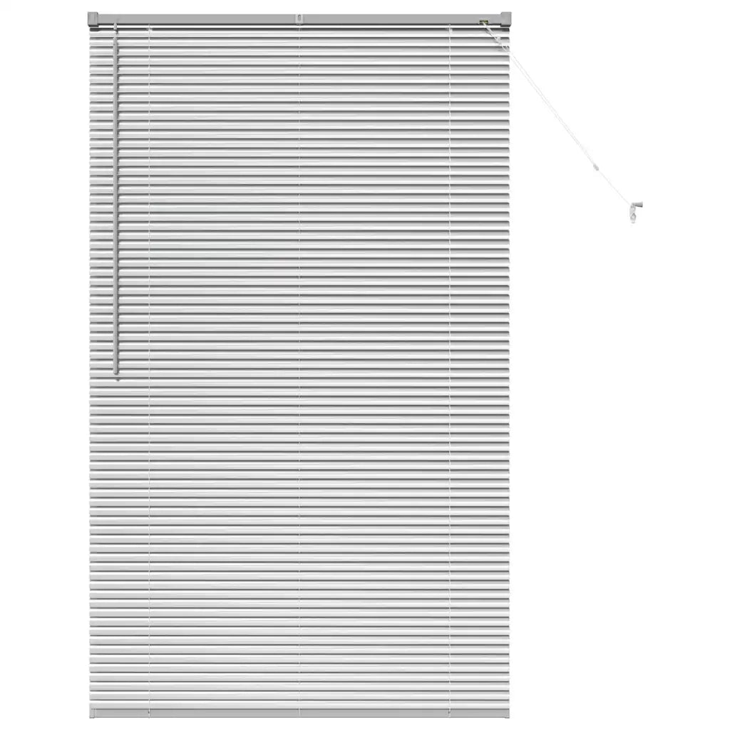 Tendaggi a Veneziana | Tenda a lamelle Argento 175 x 105 cm Alluminio