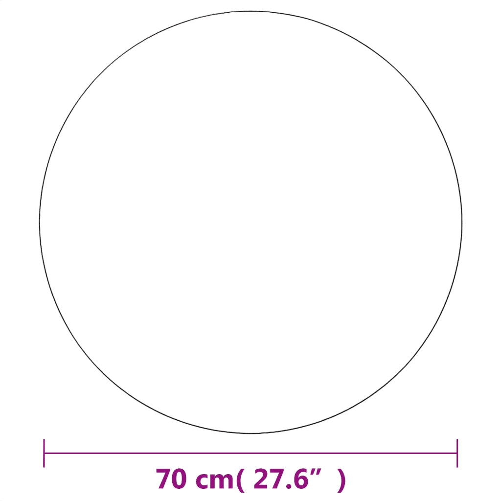 Specchi da Parete 2 pz 70 cm in Vetro Circolari