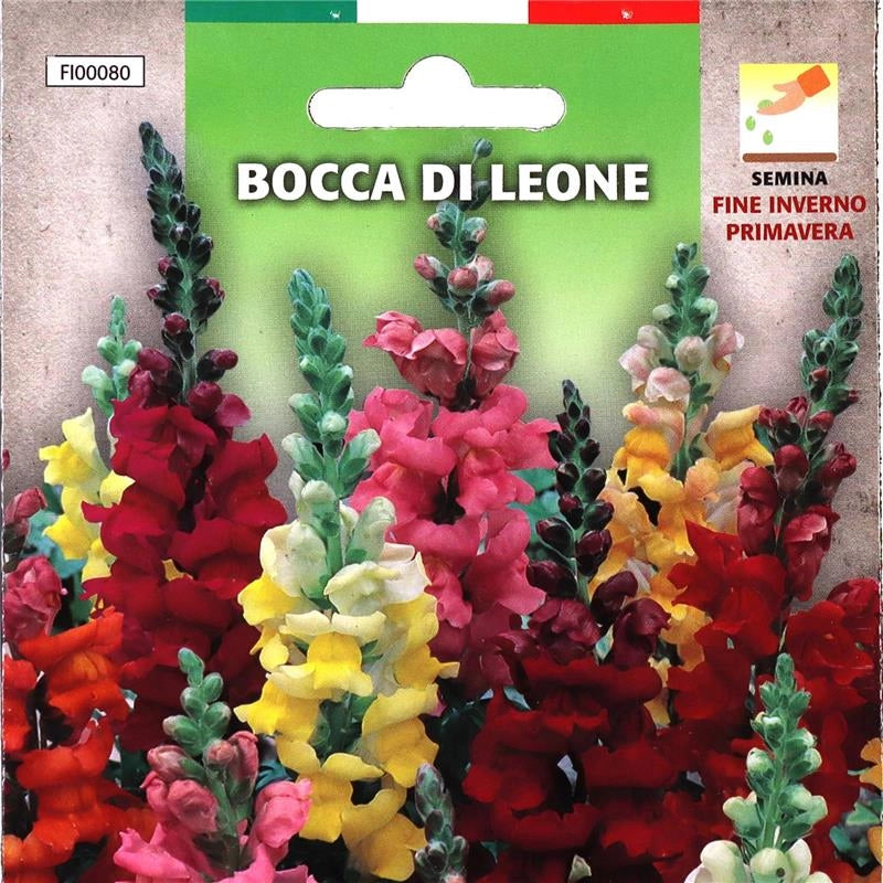 BUSTA SEMENTI FIORI BOCCA DI LEONE SEMINA FINE INVERNO/PRIMAVERA BUSTINA INTERNA SALVA SEMI