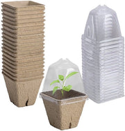 Kit di sementina per interni, contenitore per piante di casa, con coperchio ventilato, tavola per piante, 20 pezzi