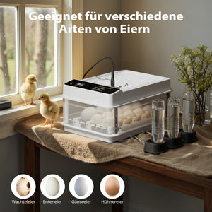 Fudajo Incubatrice di superficie completamente automatica 24 uova Covatrice polli, anatre, pulcini