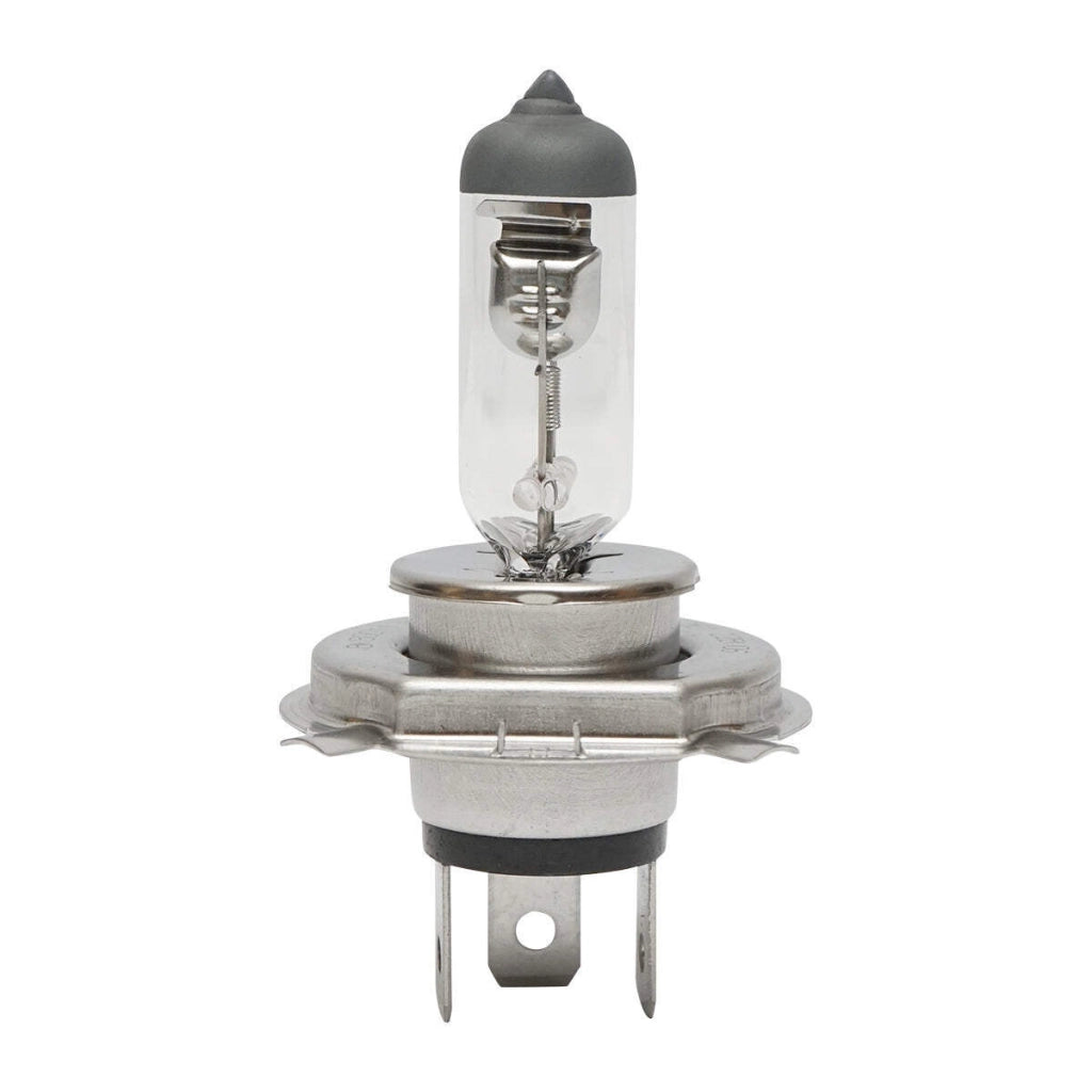 Lampadina faro alogena P43T H4 12V 60x55W