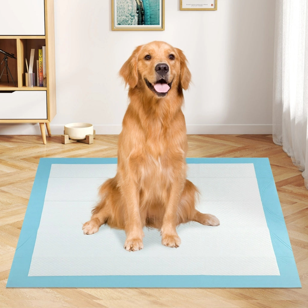 Tappetini per animali domestici a 6 strati a prova di perdite-Asciugatura rapida tappetini da interno ed esterno 90 x 90 cm Blu