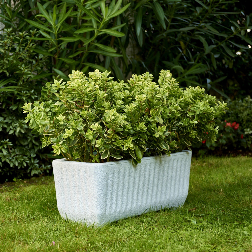 Cheonda - Garden Italia Vaso per Piante Rettangolo Centorighe GRC 78×27 cm in Resina – Made in Italy, Resistente al Gelo e Antiurto
