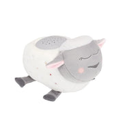 Badabulle pecore pilot