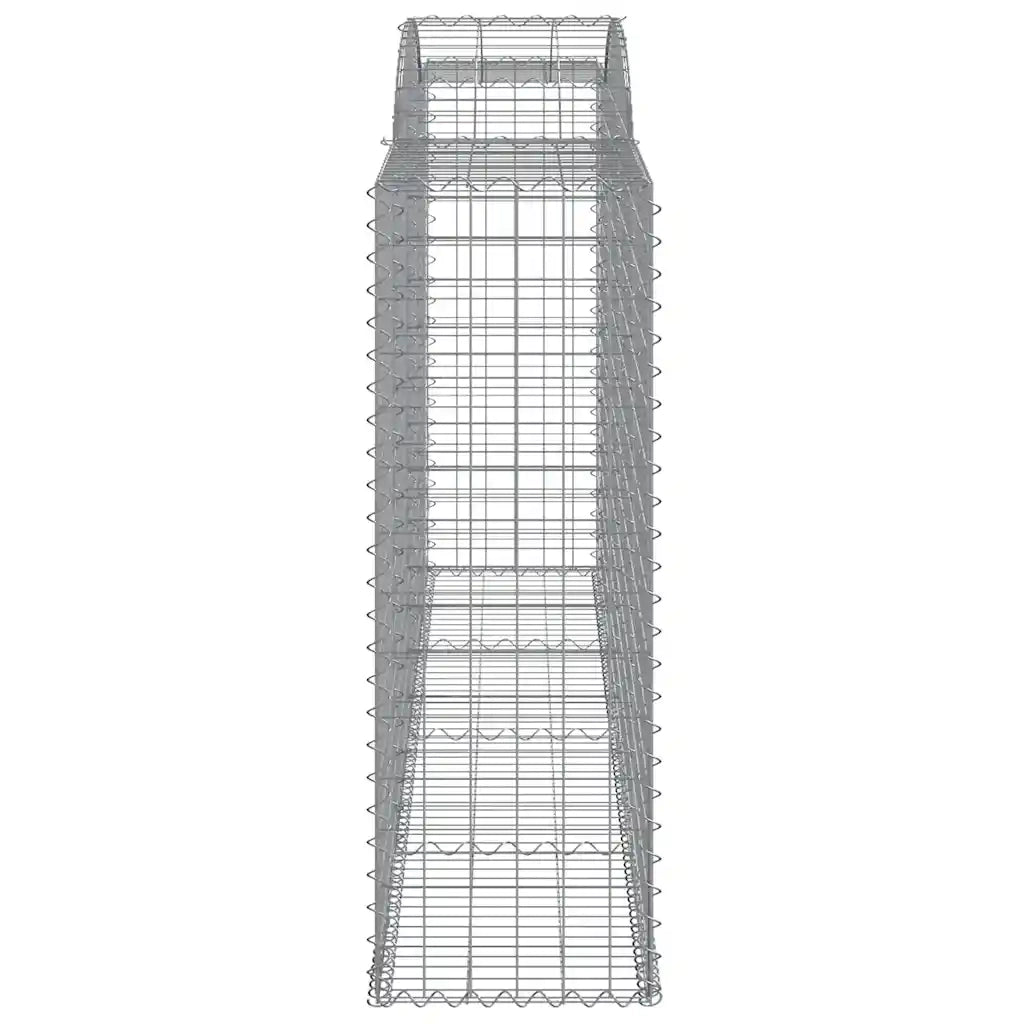 Cesti Gabbioni ad Arco 2 pz 300x50x140/160 cm Ferro Zincato 3146737