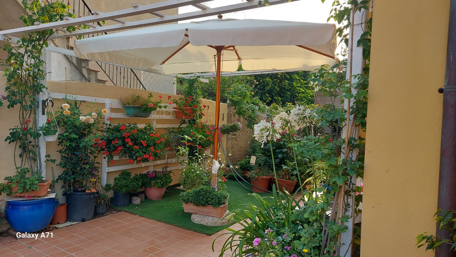 Ombrellone da Giardino 3x2 m Palo Ø48 mm in Legno Vorghini De Lux Ecrù