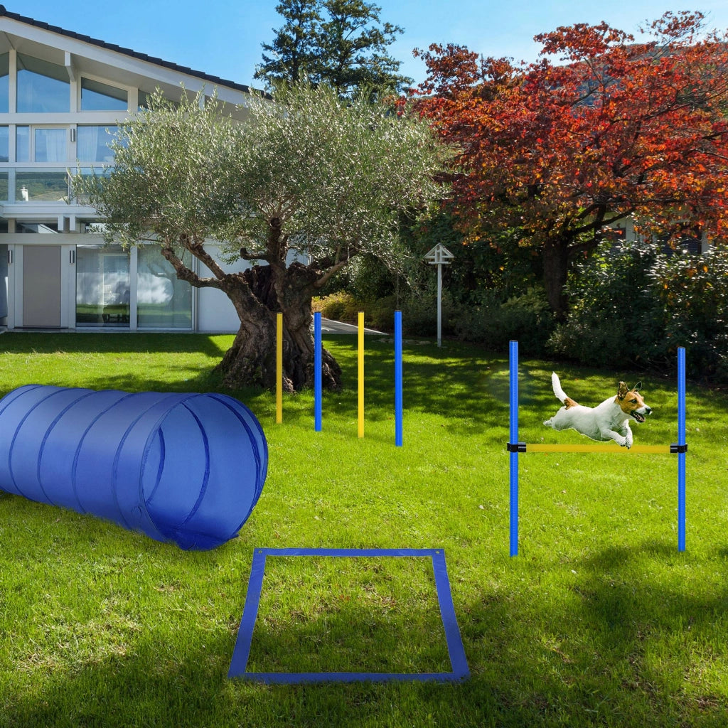 Set Agility Dog per Cani con Tunnel, Slalom, Ostacolo e Sacca ¨C zephmum ¨C Giallo e Blu