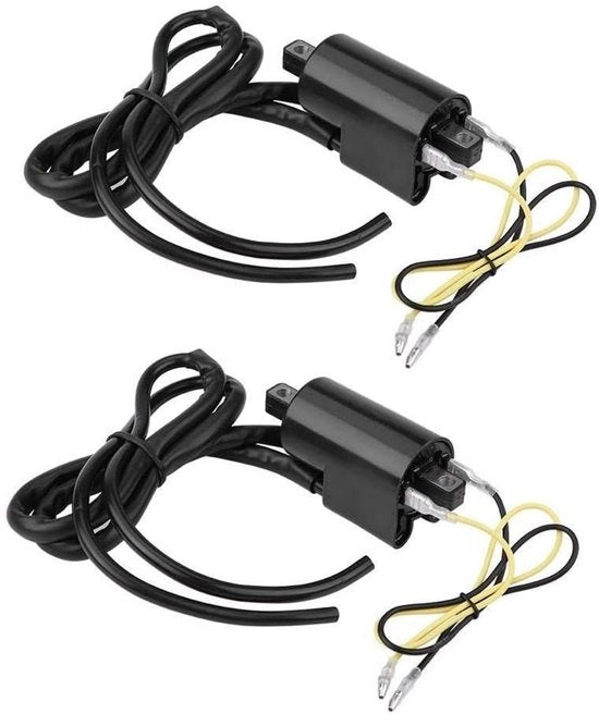 Sistema di accensione per motocicletta compatibile con GSF400 GSF600 GSF1200 - Bobina accessori per motocicletta