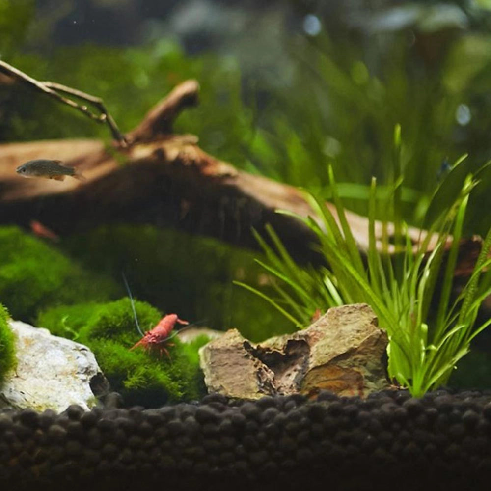 Seachem AquaVitro Aquasolum 2kg - substrato nutritivo per acquari piantumati