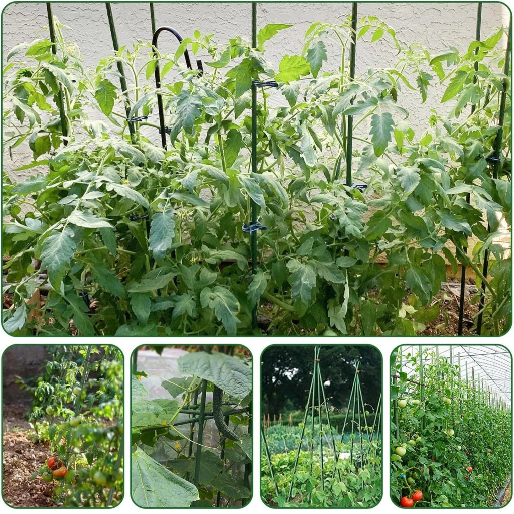 MOHOME Bastoncini Supporto Piante Rampicanti Cannette Acciaio Plastificato Bastone 1,6 Ø x 210 cm Tutore Verde Giardino Orto Pomodori Melenzane Taglia: SET DA 50