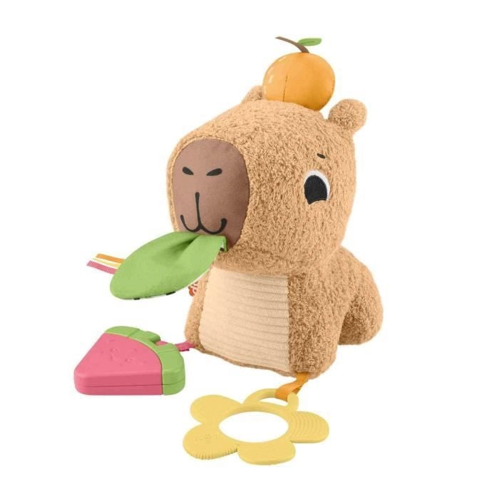 IL MIO CAPYBARA ABBRACCIA