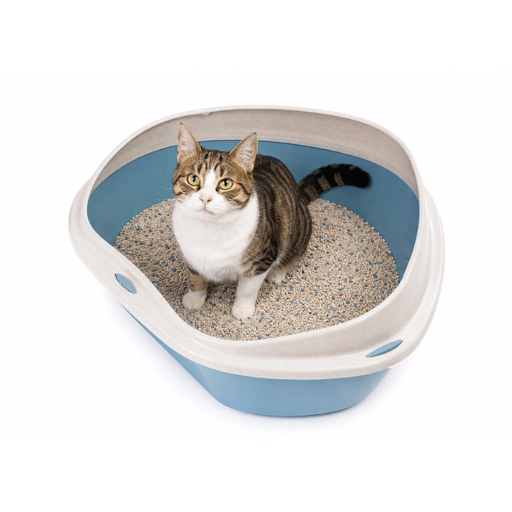Lettiera Angolare per Gatti con Bordo Antisporco e Accesso Facilitato – Disponibile in 49x40x17,5 cm e 58x48x20,5 cm Azzurra - M:49x40x17,5cm