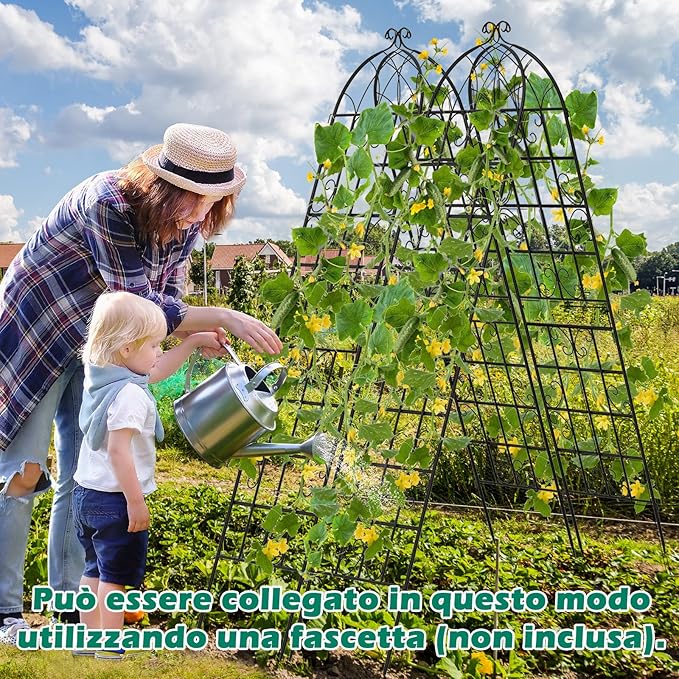 Traliccio da Giardino in Metallo 220 x 50 CM, Set di 2 Pannelli di Recinzione da Esterno per Piante Rampicanti, Decorazione Esterna per Giardino, Cortile e Patio