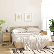 Comodini 2 pz-Set di 2 Tavolino da notte Marroni Legno Massello di Pino e Rattan Naturale