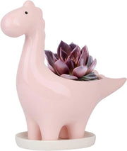 Vaso di Fiori in Ceramica con Dinosauro per Cacti e Succulenti - Decorazione di Giardino, Scrivania e Casa