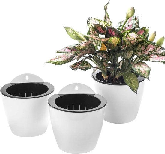 Set di 3 Piantine Sospese a Sfera in Plastica Automatico Rifornimento di Acqua Giardino Verticale per Piante Fiori Succulente Erbe Bianco Piccolo