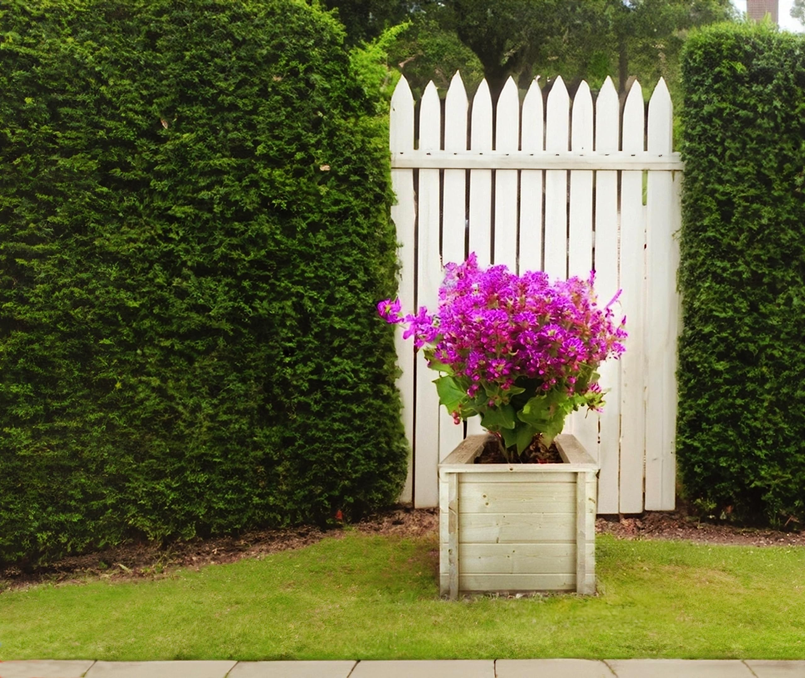 L?aiuola di giardino sopraelevata in legno - 58x58x46 cm - Timbela M617