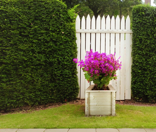 L?aiuola di giardino sopraelevata in legno - 58x58x46 cm - Timbela M617