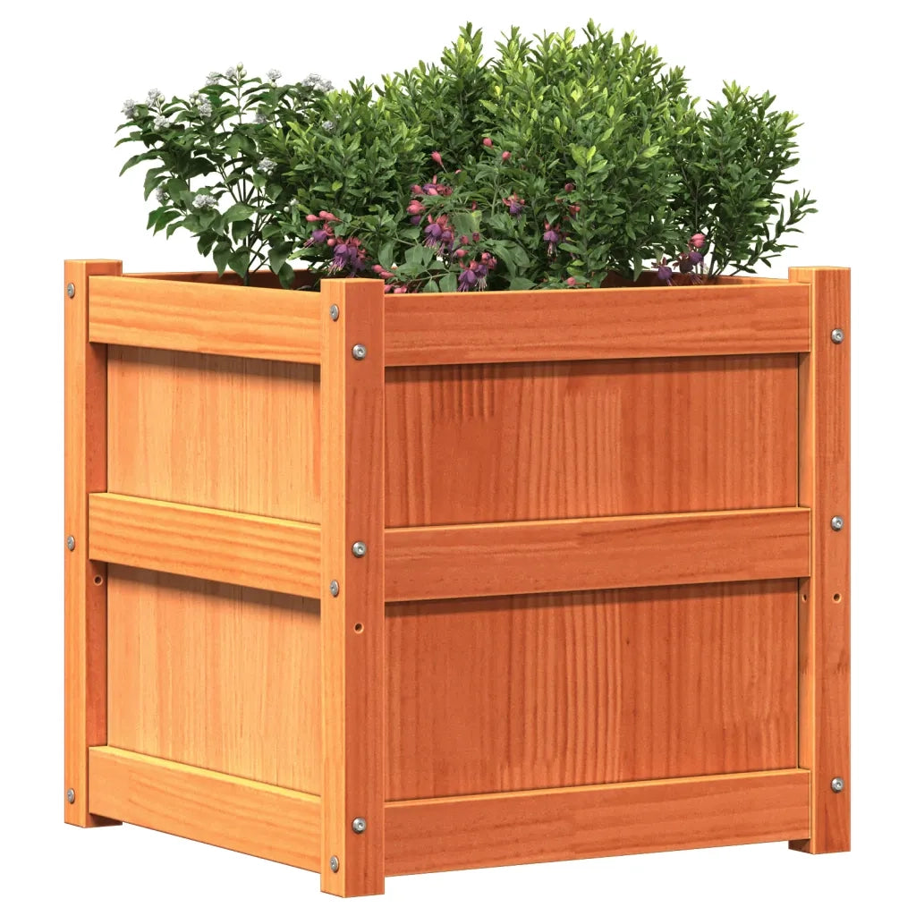 Fioriera Giardino Marrone Cera 50x50x50 cm Legno Massello Pino 837418