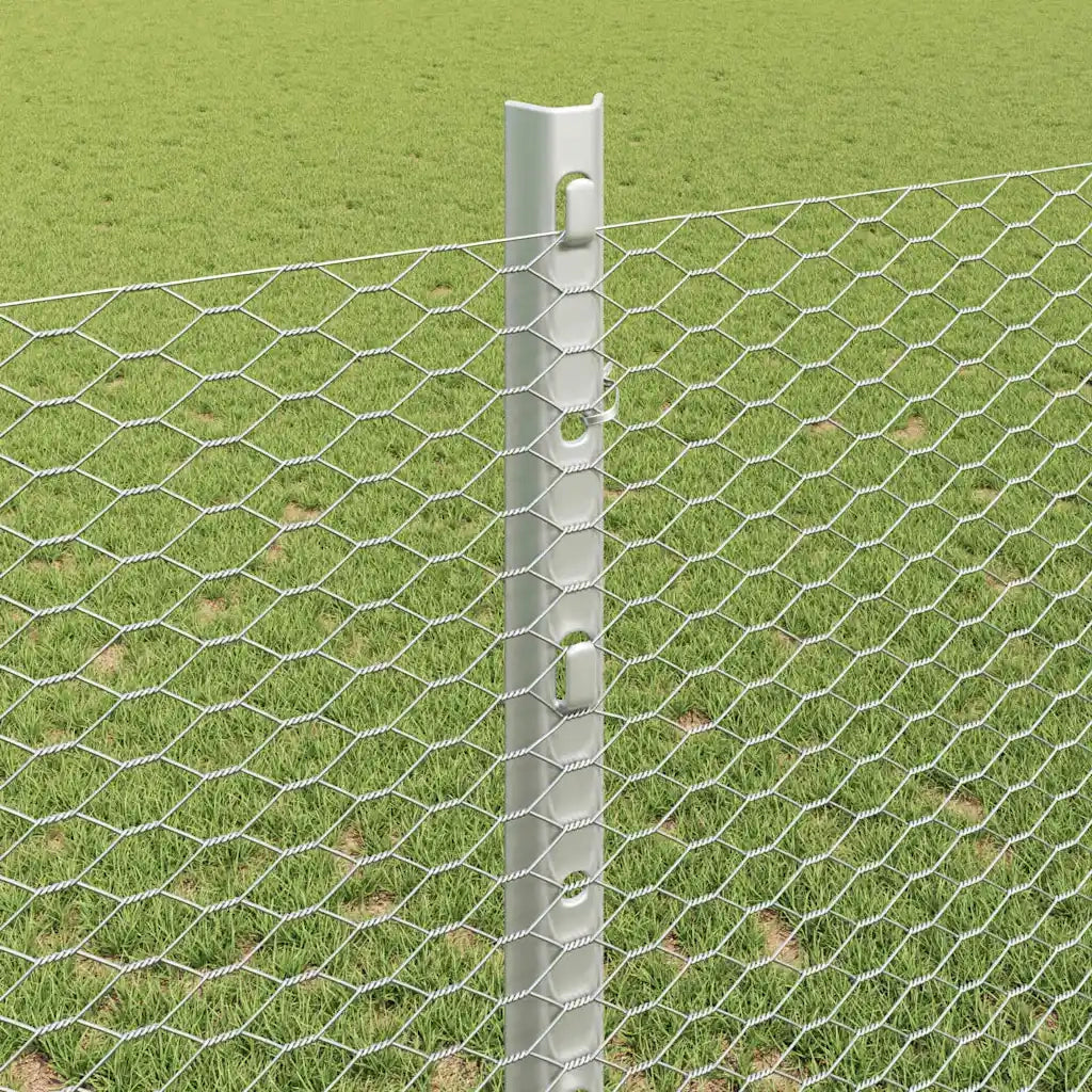 Recinzione da Giardino | Recinzione con Posto Argento