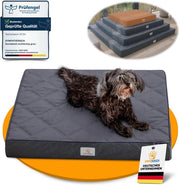 Letto per cani [Impermeabile] - Il nuovo preferito del tuo amico peloso, cuscino antiscivolo per cani, lettino per cani, lettino per cani, copertura lavabile | Cani di piccola a grande taglia - 70x60x8 cm
