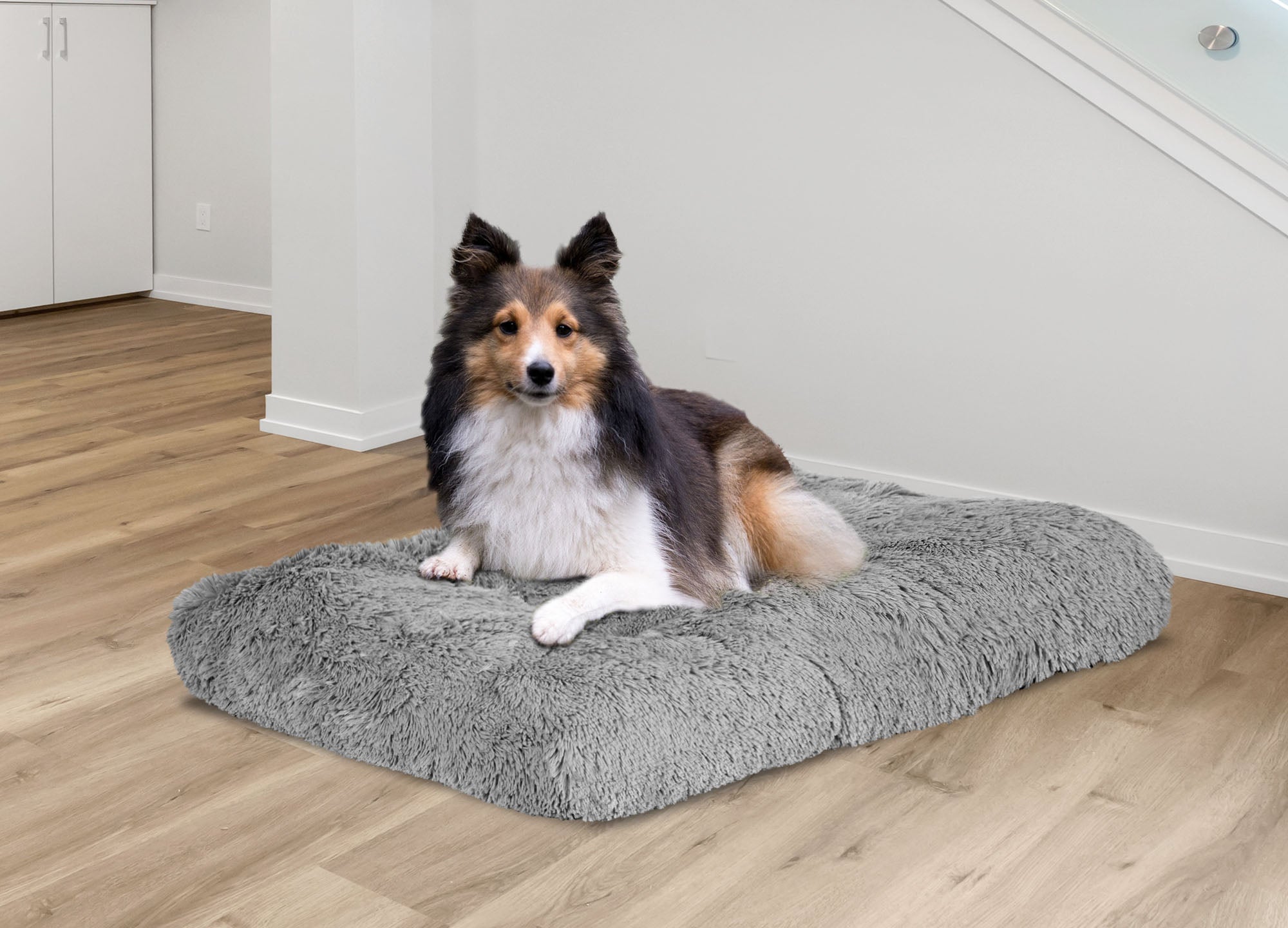 AIO FACTORY 80x60 cm Letto per cani Shaggy Cushion Grigio chiaro Impermeabile