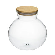 Terrario Bottle Garden Anfora con Coperchio in Legno – Vetro 18,5x18 cm